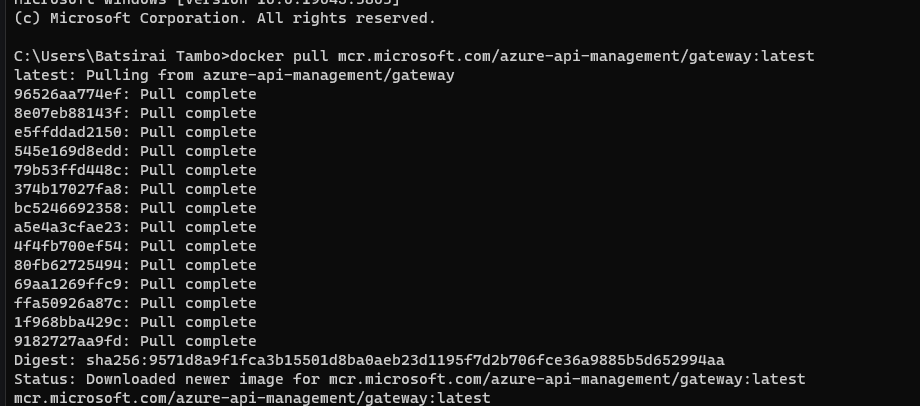 Deploy Azure Self Hosted Gateway to Docker